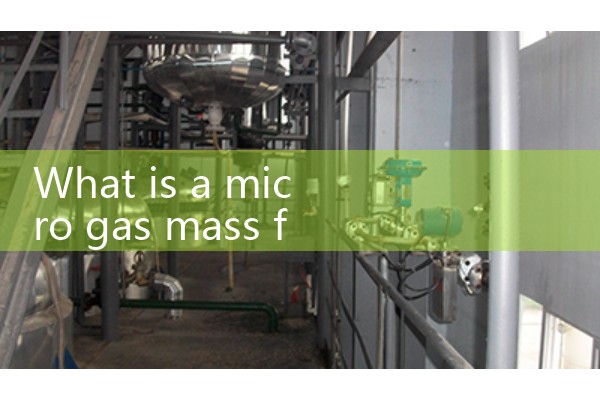 Micro gas flowmeter
